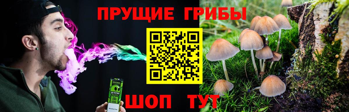 Ноябрьск  Галлюциногенные грибы GOLDEN TEACHER  Вход с VPN 